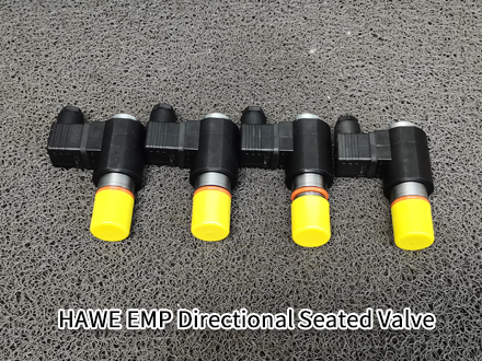 HAWE EMP 31 V 80-G 12 HAWE EMP 31 V 80-G 12