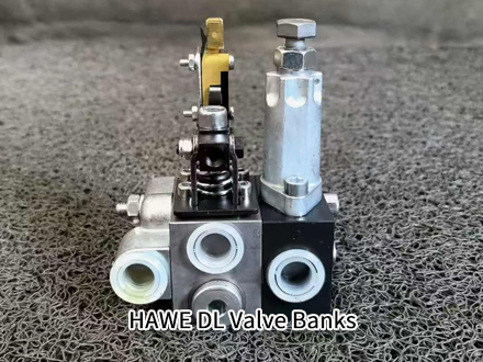 HAWE DL 11-1-N-B 50/E 2-2-180 HAWE DL 11-1-N-B 50/E 2-2-180